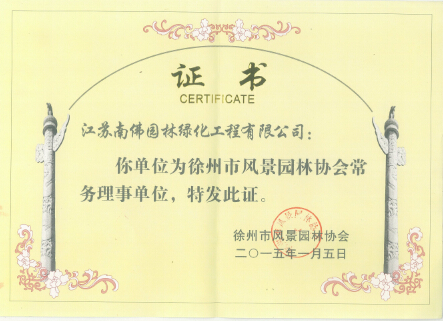 榮譽(yù)證書(shū)